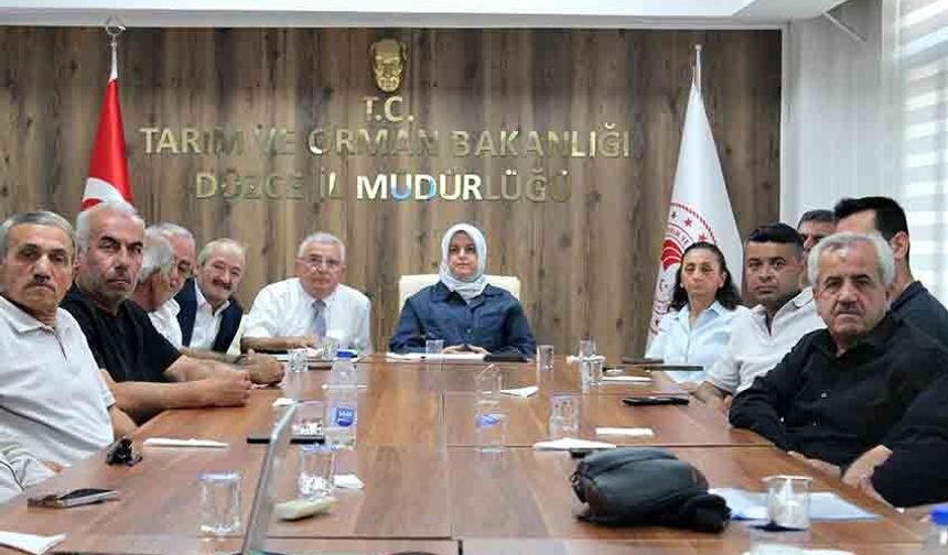 Fındık rekolte tahmin çalışmaları değerlendirildi