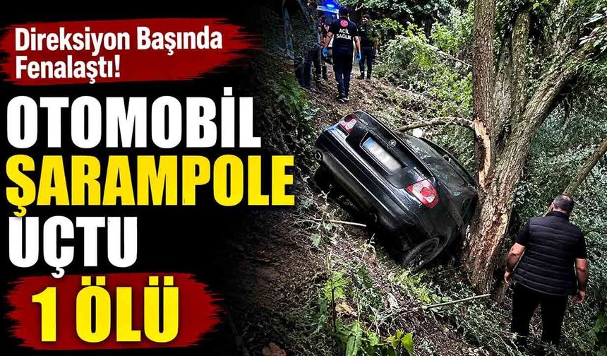 Direksiyon başında rahatsızlanan sürücü şarampole uçtu; 1 ölü