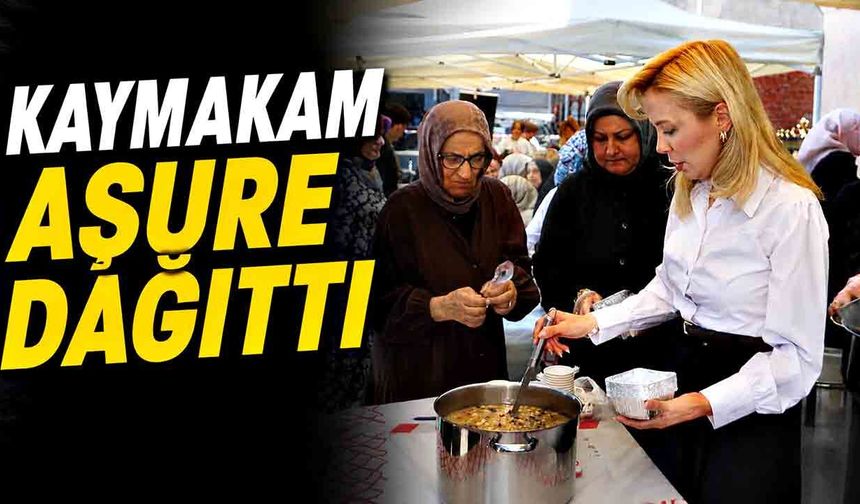 Gökçebey Kaymakamı aşure dağıttı