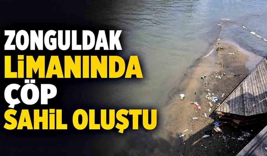 Zonguldak Limanı'nda Çevre Alarmı: Derelerin Taşıdığı Atıklar "Çöp Sahili" Oluşturdu
