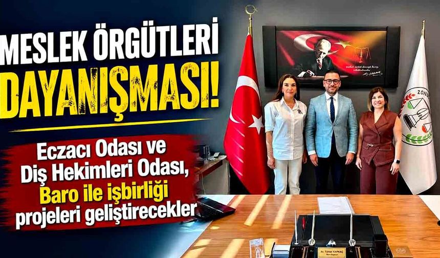 Meslek Örgütleri Dayanışması