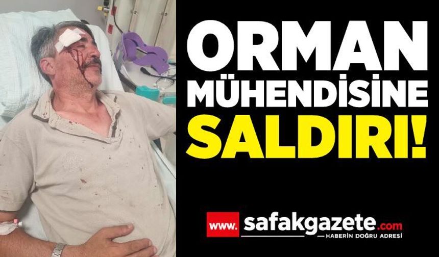 Görev Başındaki Orman Mühendisine Saldırı! Sendikadan Sert Tepki
