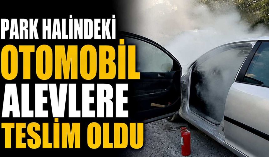 Park halindeki otomobil alevlere teslim oldu: Yangın tüpleriyle seferber oldular