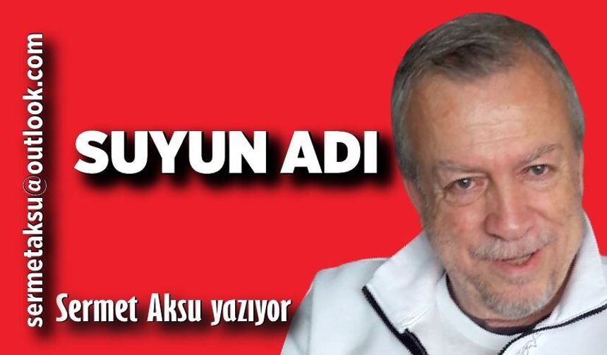 SUYUN ADI