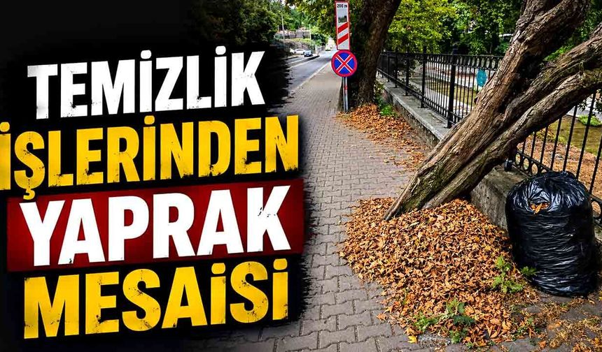 Zonguldak Sokaklarında Sonbahar Manzarası: Ekiplerin "Yaprak" Mesaisi Başladı