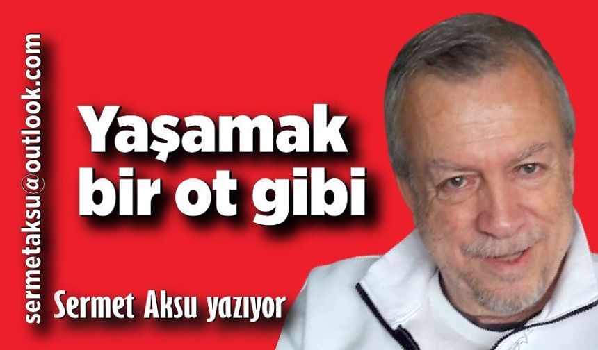 Yaşamak bir ot gibi