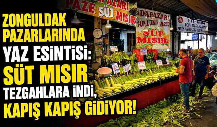 Zonguldak pazarlarında yaz esintisi: Süt mısır tezgahlara indi, kapış kapış gidiyor!