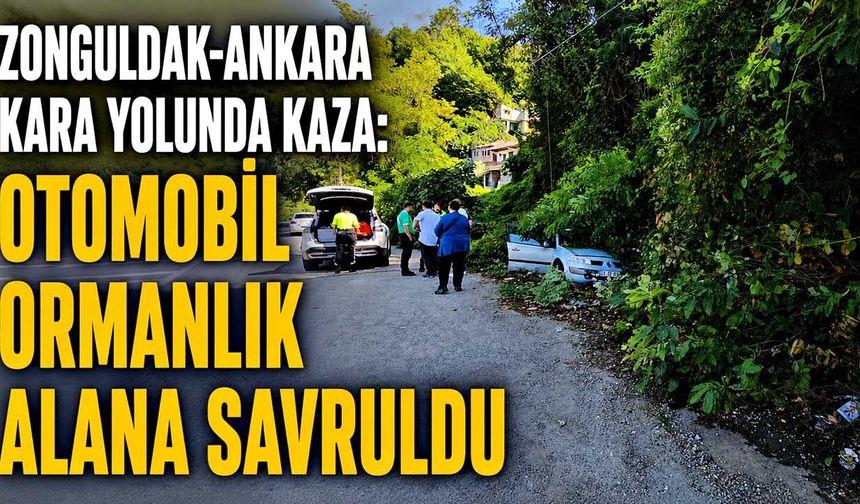 Zonguldak-Ankara kara yolunda kaza: Otomobil ormanlık alana savruldu