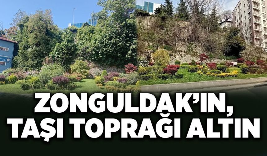 Zonguldak’ın taşı toprağı altın