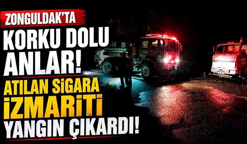 Zonguldak’ta korku dolu anlar: Atılan sigara izmariti yangın çıkardı!