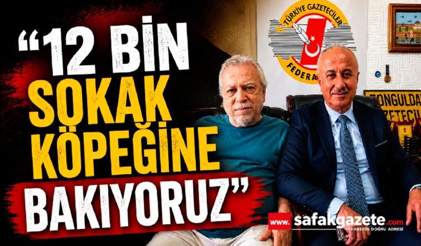 “12 bin sokak köpeğine bakıyoruz”