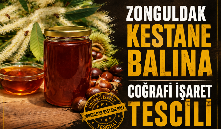 Zonguldak kestane balına coğrafi işaret tescili