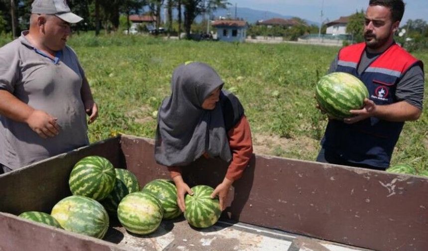 Ata tohumundan üretildi, ihtiyaç sahiplerine ulaştırıldı