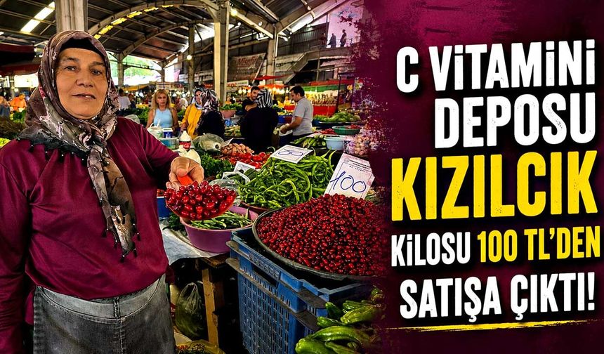 C Vitamini Deposu Kızılcık Kilosu 100 TL’den Satışa Çıktı!