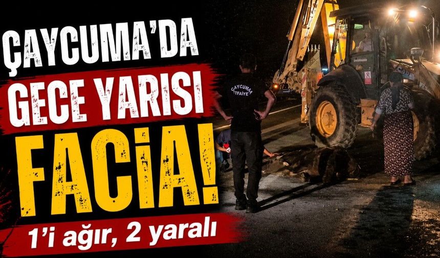 Otomobil karayoluna çıkan 3 mandaya çarptı: 1'i ağır, 2 yaralı