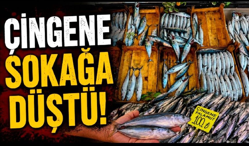 Çingene sokağa düştü