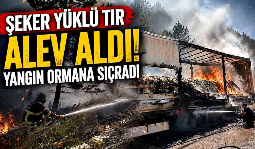 Şeker yüklü tır alev aldı, yangın ormana sıçradı