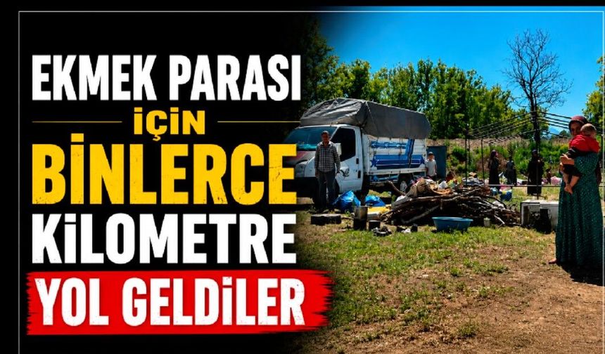 Ekmek parası için binlerce kilometre yol geldiler