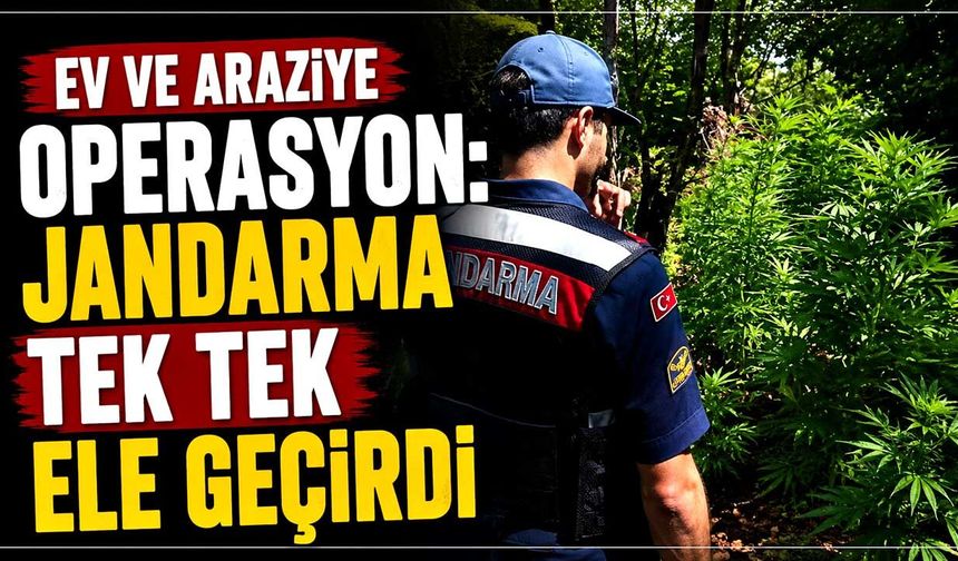Ev ve araziye operasyon: Jandarma tek tek ele geçirdi