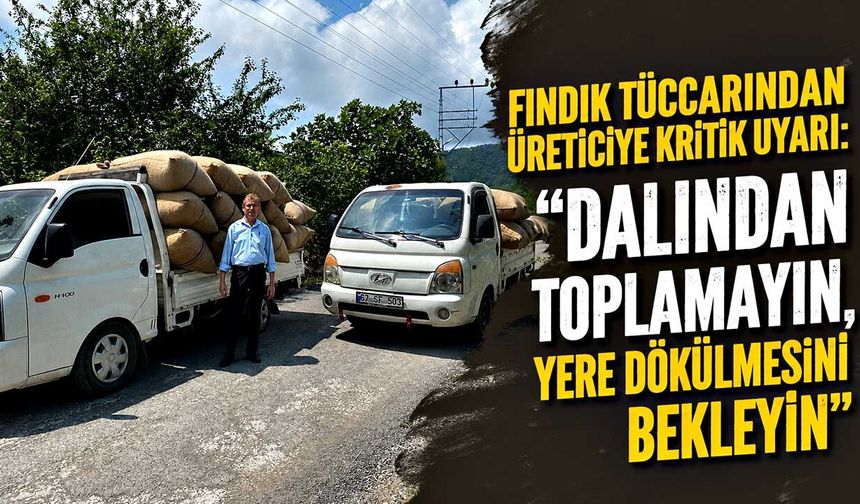Fındık tüccarından üreticiye kritik uyarı: "Dalından toplamayın, yere dökülmesini bekleyin"