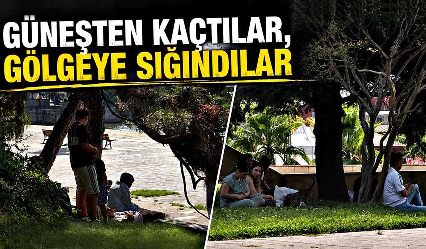 Güneşten kaçtılar, gölgeye sığındılar
