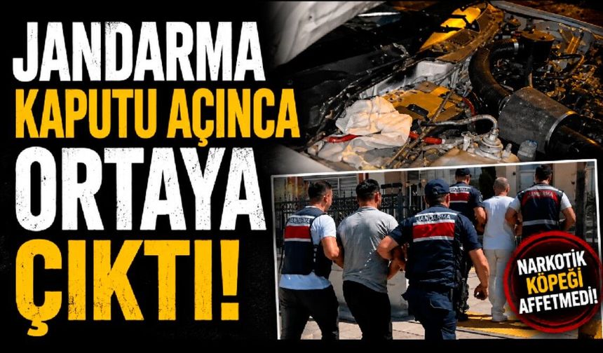 Jandarma kaputu açınca ortaya çıktı!