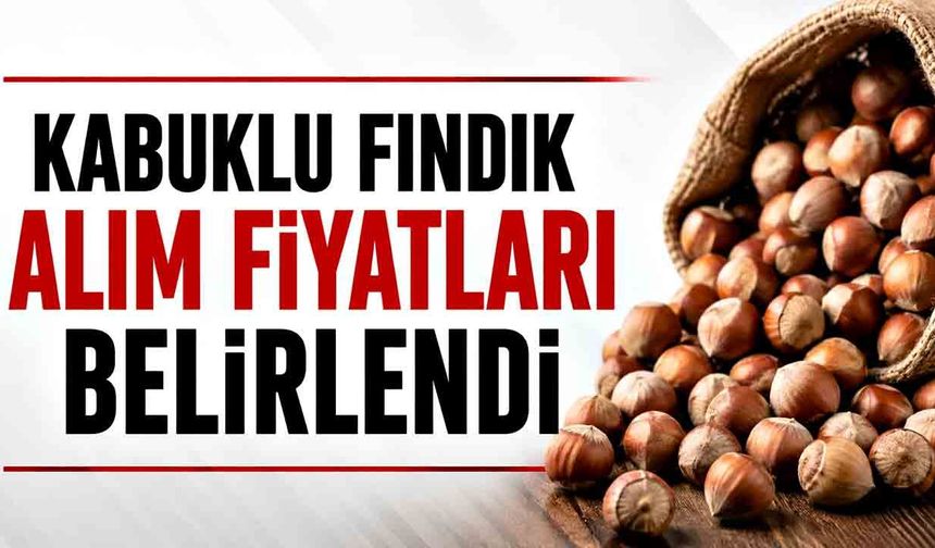 Kabuklu fındık alım fiyatları belirlendi