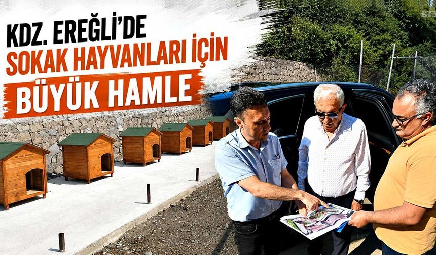 Kdz. Ereğli'de sokak hayvanları için büyük hamle