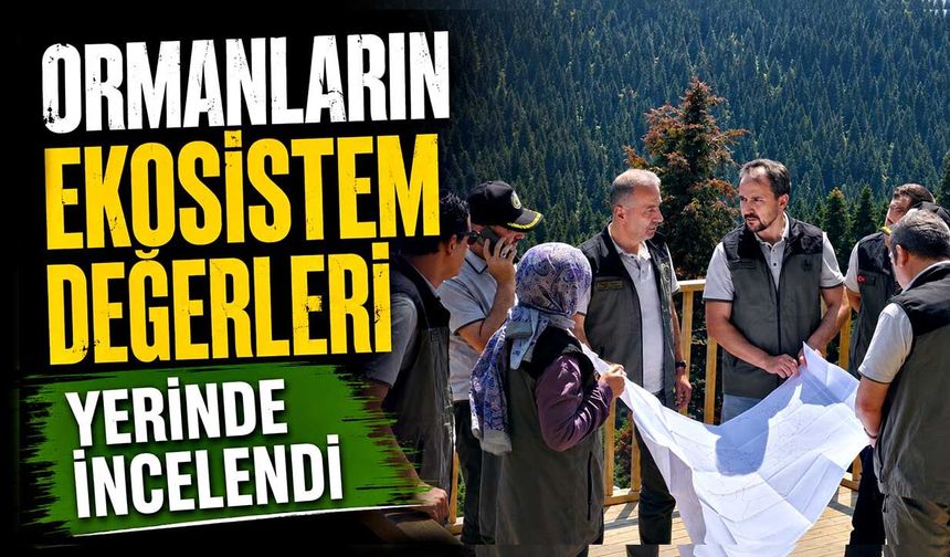 Ormanların ekosistem değerleri yerinde incelendi