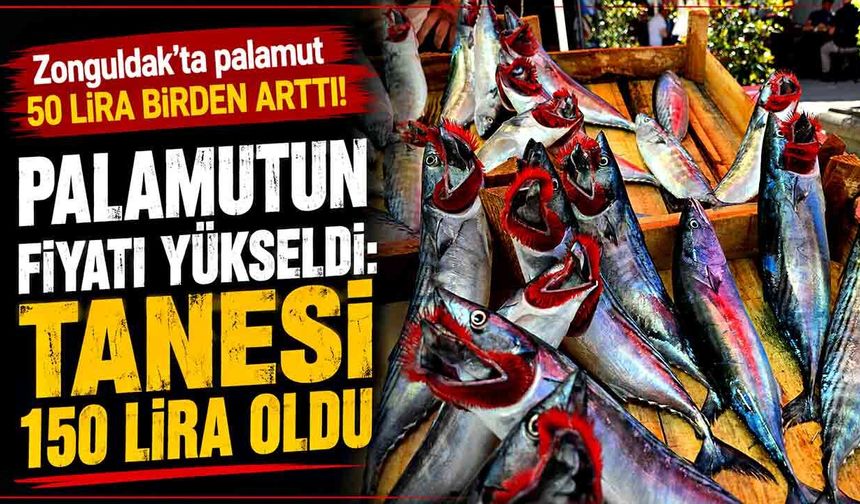 Palamutun fiyatı yükseldi: Tanesi 150 lira oldu