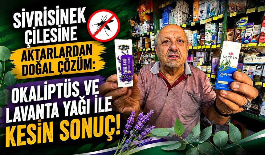 Sivrisinek çilesine aktarlardan doğal çözüm: Okaliptüs ve Lavanta Yağı ile kesin sonuç!