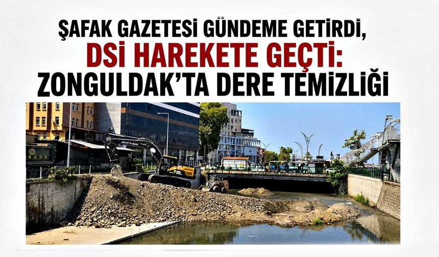 Şafak Gazetesi gündeme getirdi, DSİ harekete geçti: Zonguldak'ta dere temizliği