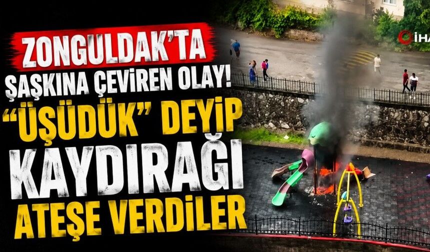Zonguldak’ta şaşkına çeviren olay! “Üşüdük” deyip kaydırağı ateşe verdiler
