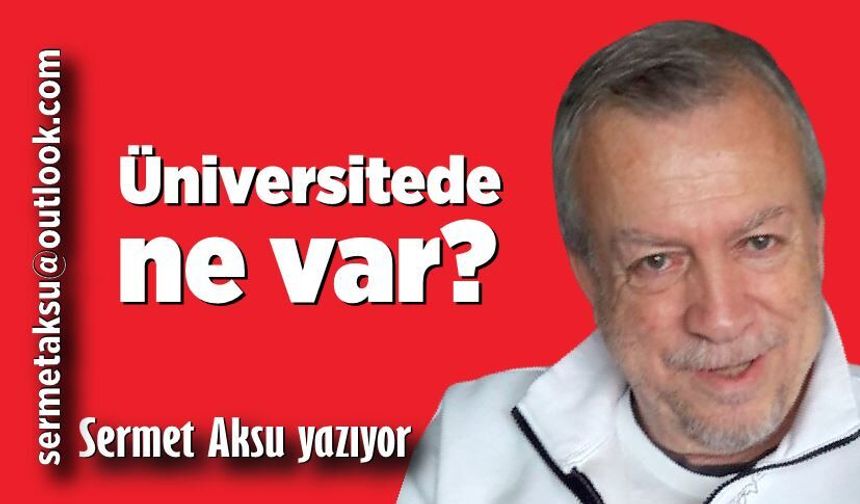 Üniversitede ne var?