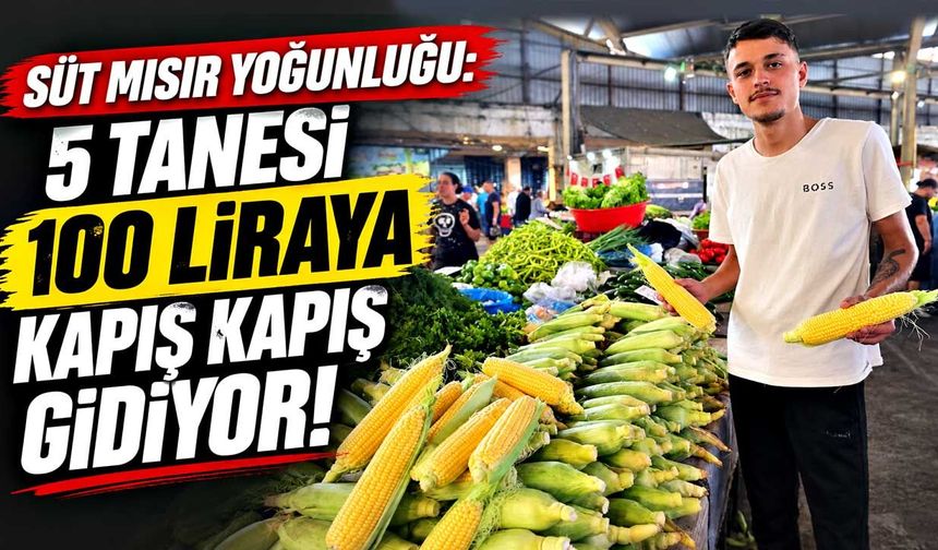 Süt mısır yoğunluğu: 5 tanesi 100 liraya kapış kapış gidiyor!