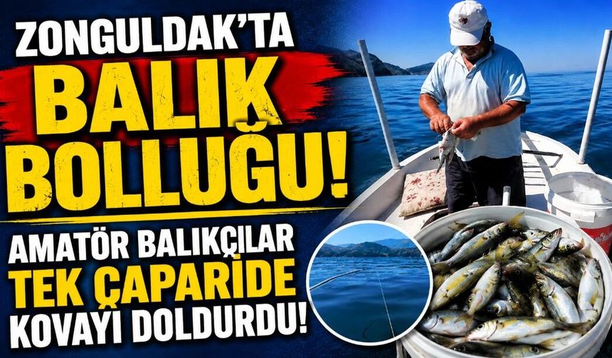Zonguldak'ta balık bolluğu: Amatör balıkçılar tek çaparide kovayı doldurdu!