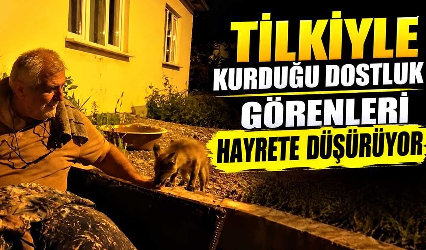 Tilkiyle kurduğu dostluk görenleri hayrete düşürüyor
