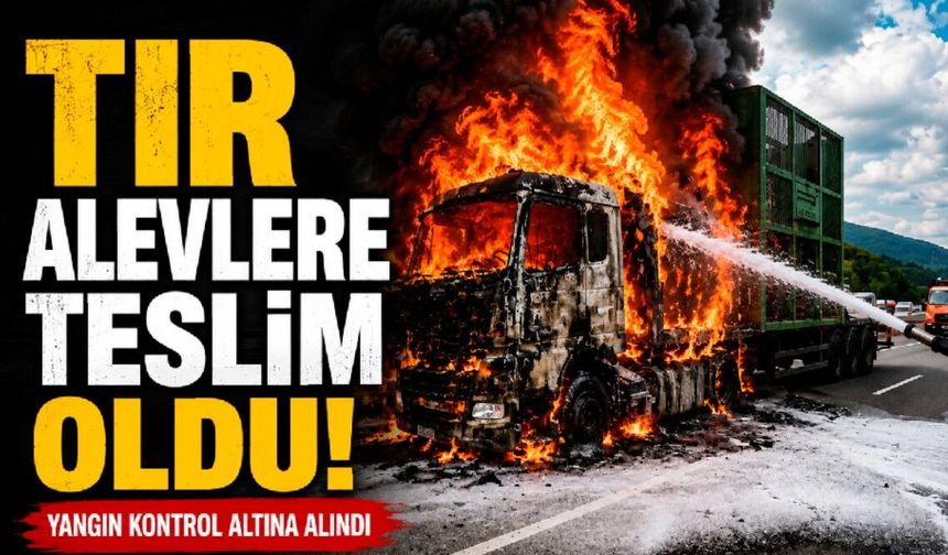 Seyir halindeki tır alevlere teslim oldu