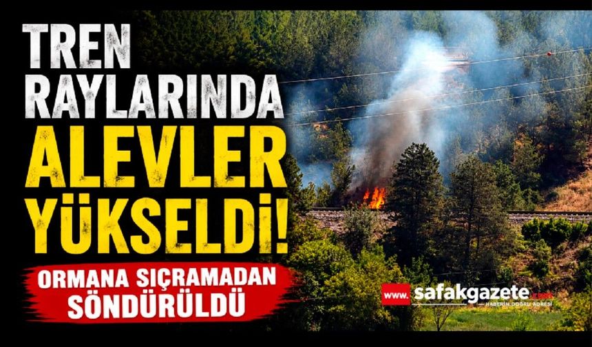 Tren raylarında çıkan yangın büyümeden söndürüldü
