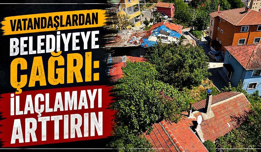 Vatandaşlardan belediyeye çağrı: İlaçlamayı arttırın