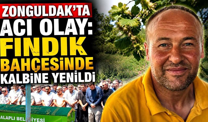 Zonguldak'ta acı olay: Fındık bahçesinde kalbine yenildi