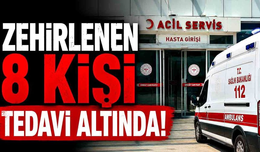Tavuk yiyen 8 kişi zehirlendi