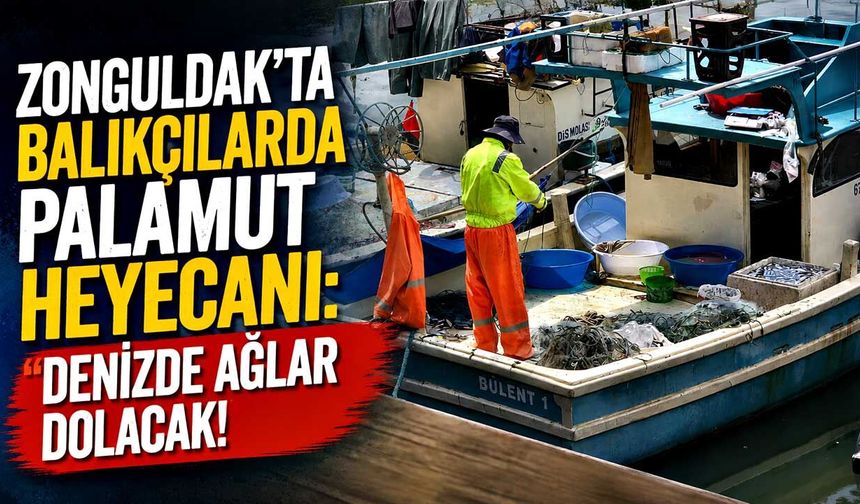 Zonguldak'ta balıkçılarda palamut heyecanı: Denizde ağlar dolacak!