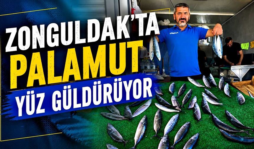 Zonguldak'ta palamut yüz güldürüyor