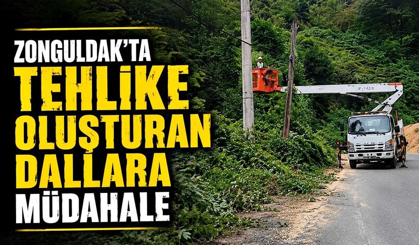 Zonguldak’ta tehlike oluşturan dallara müdahale