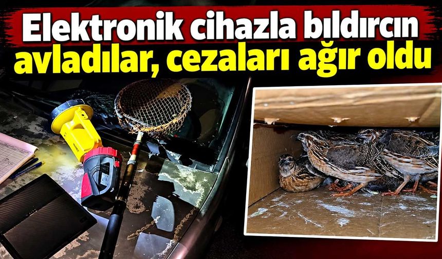 Elektronik cihazla bıldırcın avladılar, cezaları ağır oldu
