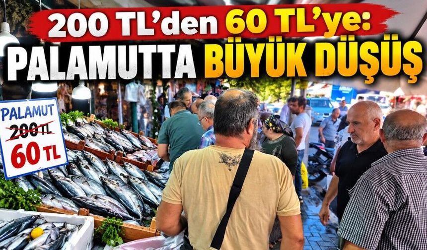 Bartın’da palamut 60 TL’ye düştü, vatandaş tezgaha akın etti