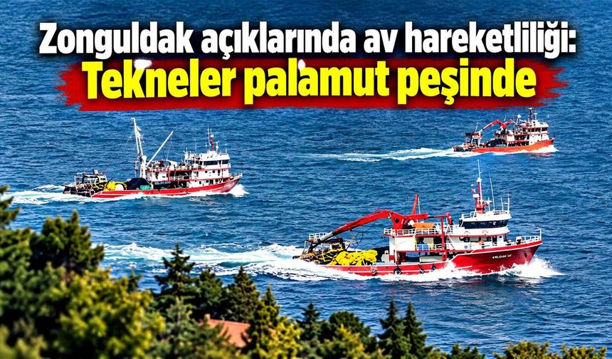 Zonguldak açıklarında av hareketliliği: Tekneler palamut peşinde