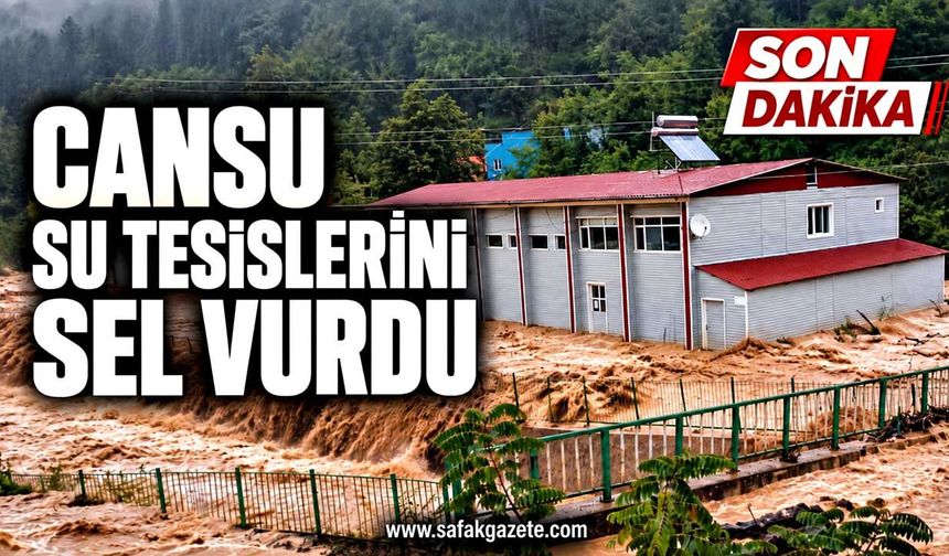 Zonguldak’ta Cansu tesisleri sular altında kaldı!