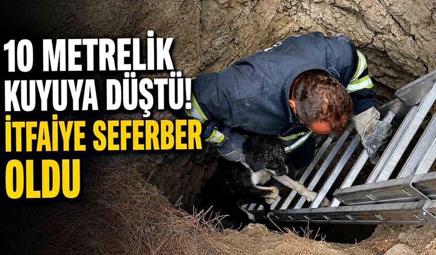 10 metre derinliğindeki kuyuya düşen köpeği itfaiye kurtardı